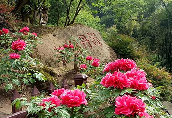丹景山第 18 张图片