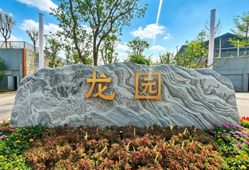 龙园水世界第 4 张图片