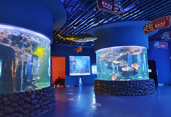 石家庄海洋公园(海悦天地购物广场店)第 7 张图片
