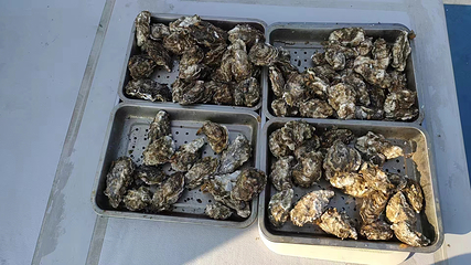 渔田休闲渔业俱乐部第 37 张图片