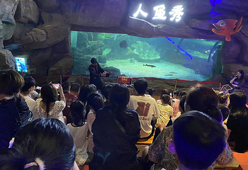 盐城海昌海洋探索馆第 50 张图片