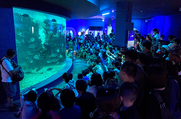 澎湖水族馆第 3 张图片