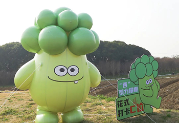 半岛田园第 32 张图片