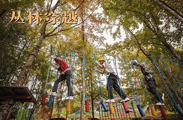寒武纪石林景区第 30 张图片