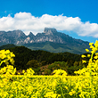 灵山风景区