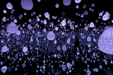 ARTE MUSEUM 成都第 27 张图片