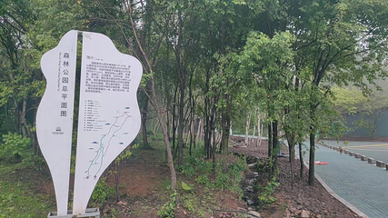 森林慢谷度假景区第 49 张图片