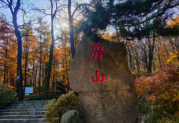 鲁山国家森林公园第 28 张图片