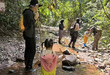 基诺山巴朵村雨林徒步第 11 张图片