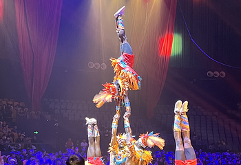奇妙太阳鸟国际大马戏第 7 张图片
