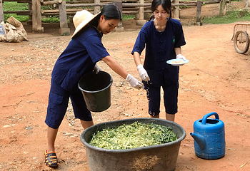 湄沙大象营第 7 张图片