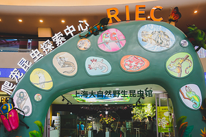 上海大自然野生昆虫馆（东方明珠•爬宠昆虫探索中心）