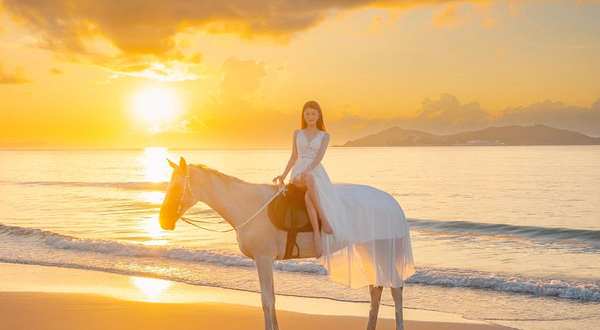 三亚骑马Seahorse野骑马场