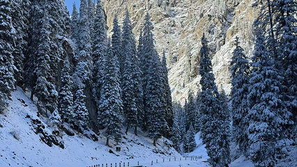 南山牧场西白杨沟景区第 16 张图片
