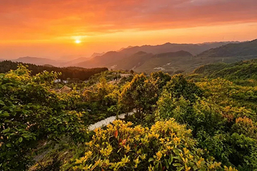 娄山云海度假区第 7 张图片