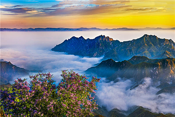 白石山世界地质公园第 8 张图片