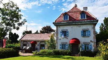 萌趣森林·童画集