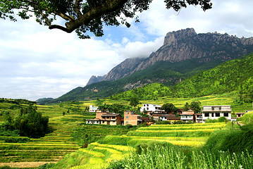 灵山风景区第 10 张图片