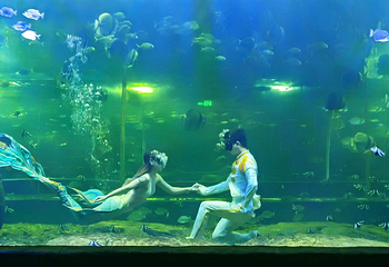 梅溪海洋公园(步步高梅溪新天地店)第 72 张图片