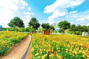 光明农场大观园