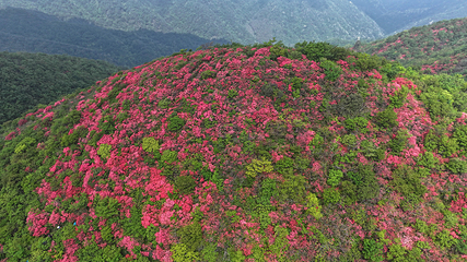 五溪山大峡谷第 1 张图片