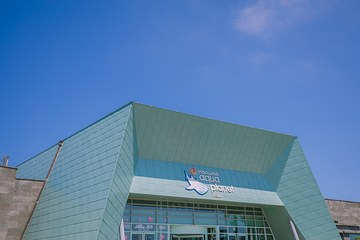 济州岛Aqua Planet水族馆第 23 张图片