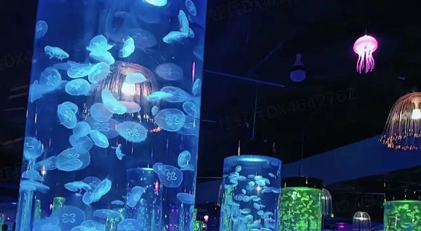 水母海洋馆