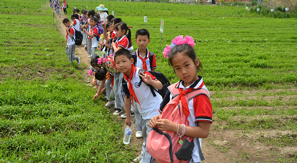 药王谷中医药旅游景区