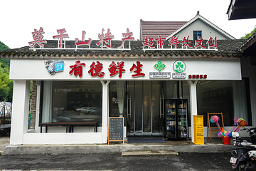 湖州碧坞龙潭第 10 张图片