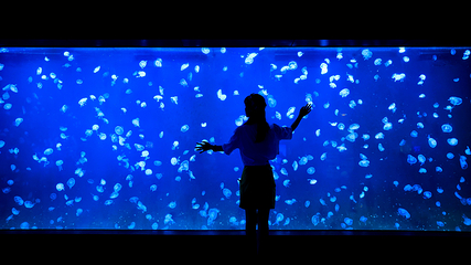 上海海洋水族馆第 187 张图片