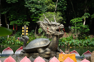 海南百花岭热带雨林文化旅游区第 23 张图片