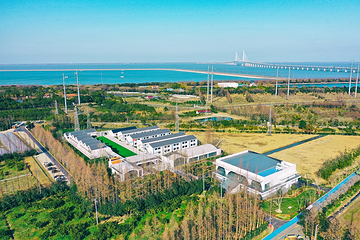 长兴岛郊野公园第 6 张图片