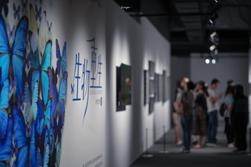 地球梦艺术主题乐园第 8 张图片