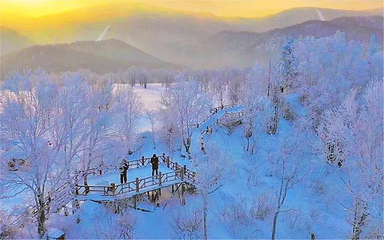 雪乡狗熊岭景区第 39 张图片