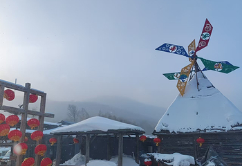 大秃顶子山第 48 张图片