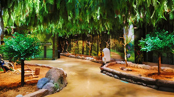 zoolungzoolung动物主题公园(襄阳店)