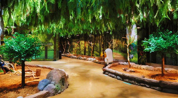 zoolungzoolung动物主题公园(襄阳店)