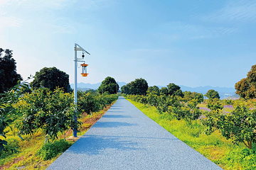 坪西岛第 5 张图片