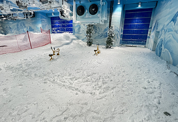 泰迪寰球冰雪世界第 19 张图片