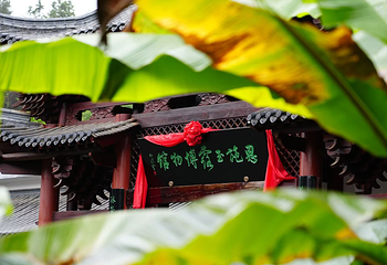 恩施玉露博物馆第 7 张图片