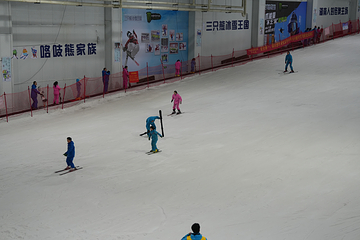 三只熊冰雪王国第 21 张图片