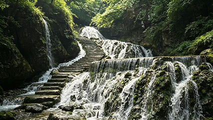 王府竹海度假旅游区第 21 张图片