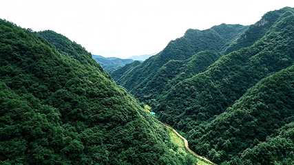 王府竹海度假旅游区第 13 张图片