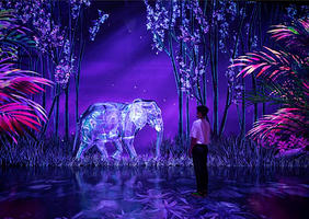 及壳元宇宙光影馆