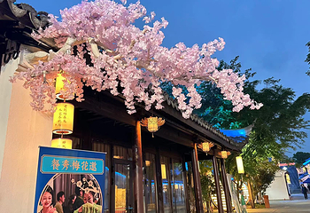 锦夜·青靛甪直第 13 张图片