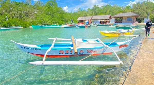 Albur Bohol Whale Watching