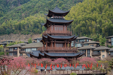 葛仙村度假区第 24 张图片