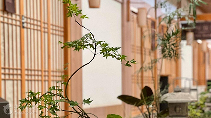 玖合素手·轻养足浴SPA(云纺大悦城店)第 2 张图片