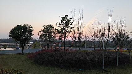 向阳湖湿地•音乐湖畔第 21 张图片
