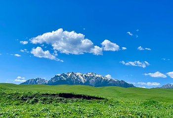 南山牧场西白杨沟景区第 34 张图片